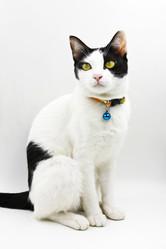 Similar image 13155902