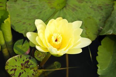 Similar image 13155928