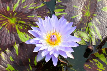 Similar image 13155944