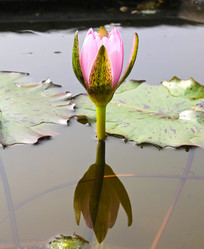 Similar image 13155965