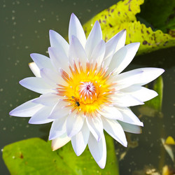 Similar image 13155981