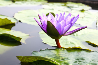 Similar image 13155985