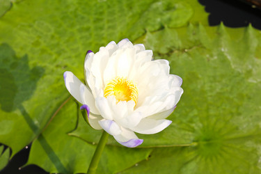 Similar image 13155986