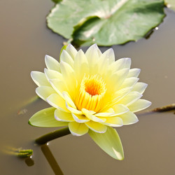 Similar image 13158481