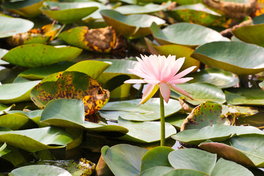 Similar image 13158482