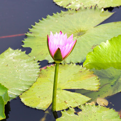 Similar image 13158484