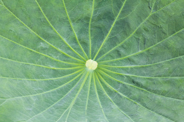 Similar image 13158485