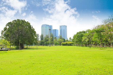 Similar image 13161944