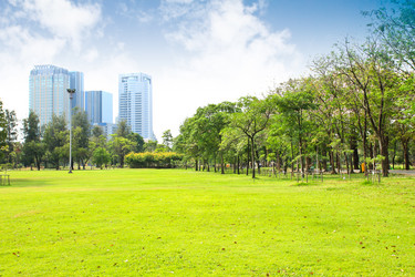 Similar image 13161945