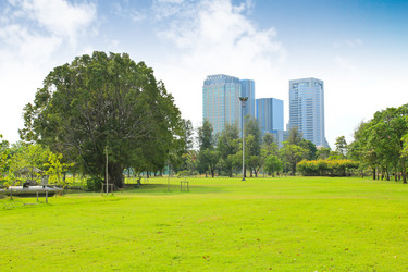 Similar image 13161946