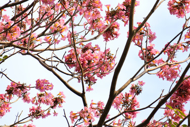 Similar image 13161947