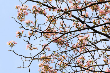 Similar image 13161948