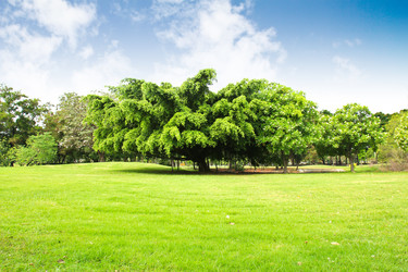 Similar image 13161949