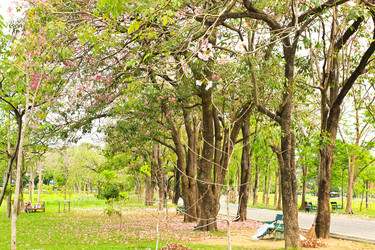 Similar image 13161963