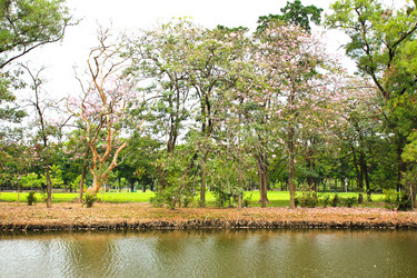 Similar image 13161967