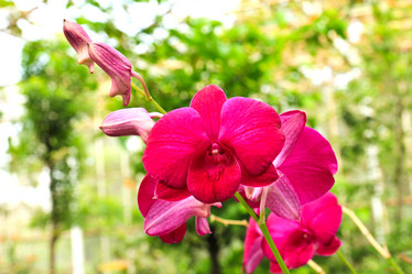 Similar image 13161968