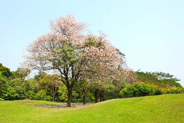 Similar image 13161969