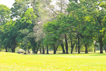 Similar image 13162974