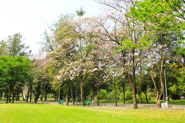 Similar image 13162976