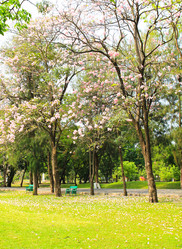 Similar image 13162977