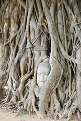 Similar image 13163199