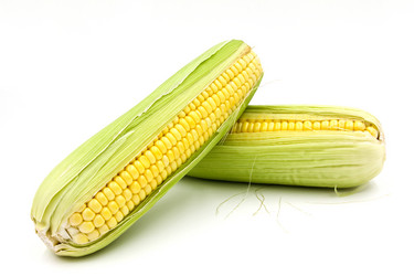 Similar image 13163297