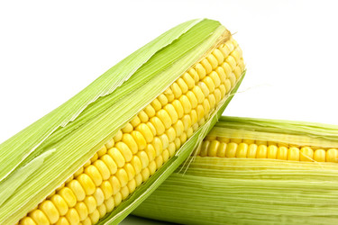 Similar image 13163315