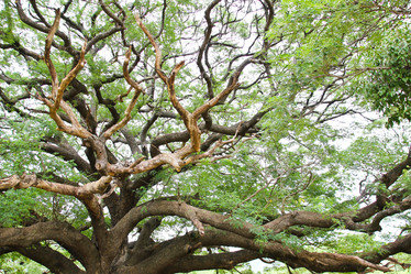 Similar image 13163352