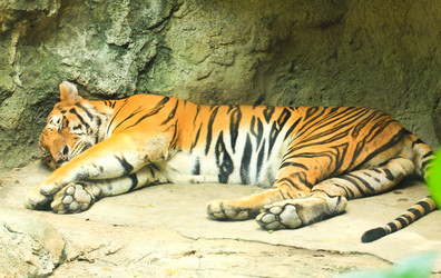 Similar image 13154358