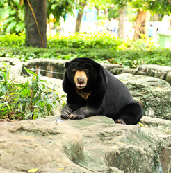 Similar image 13154376