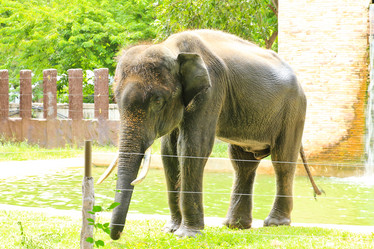 Similar image 13154389