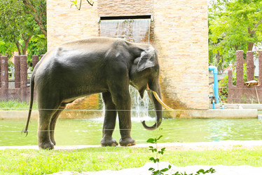 Similar image 13154390