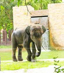 Similar image 13154391