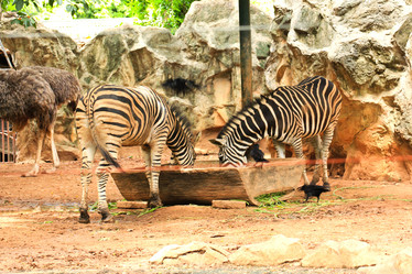 Similar image 13154414