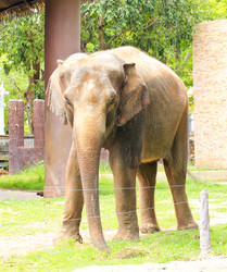 Similar image 13154418