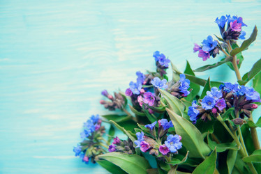 Similar image 13180071