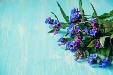 Similar image 13180072