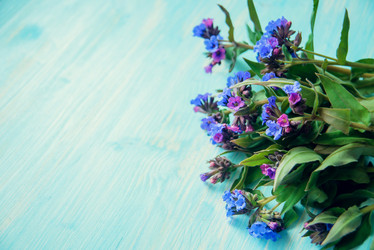 Similar image 13180073