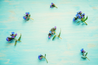 Similar image 13180089