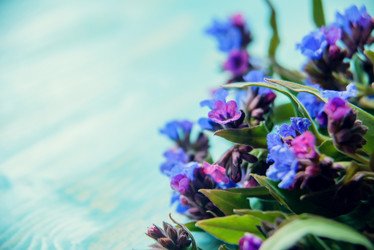 Similar image 13180153