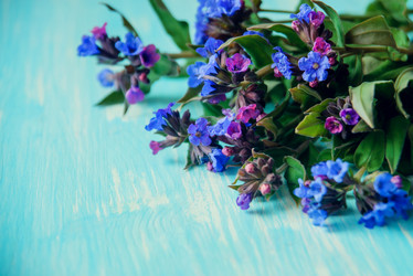 Similar image 13180155