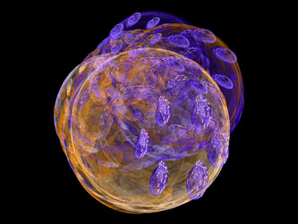 Similar image 13156290