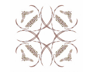 Similar image 13165856