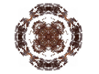 Similar image 13166270