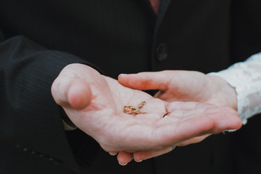 Similar image 13154053