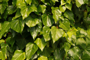 Similar image 13172866