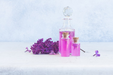 Similar image 13164177