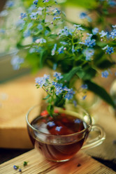 Similar image 13180317