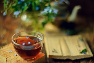 Similar image 13180318