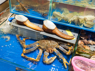 Similar image 13165430